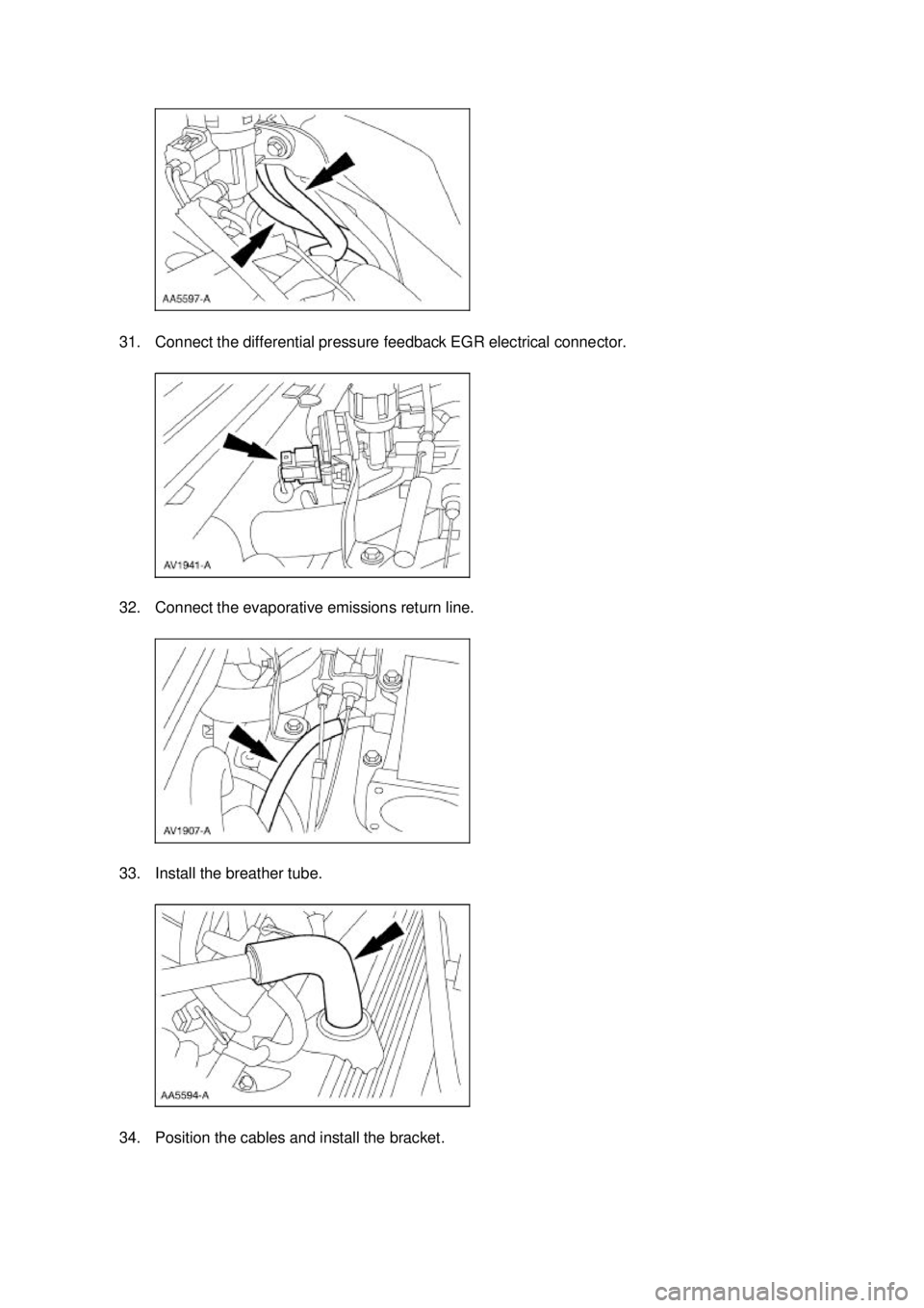 FORD MUSTANG 2003  Workshop Manual 31. Connect the differential pressure feedback EGR electrical connector. 
32. Connect the evaporative emissions return line. 
33. Install the breather tube. 
34. Position the cables and install the br