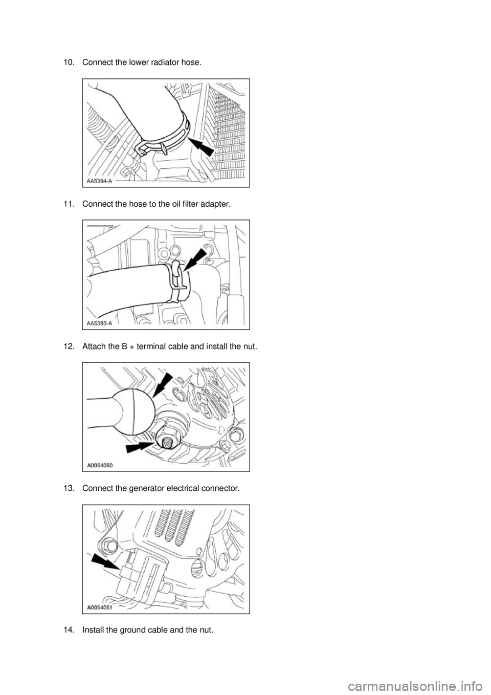 FORD MUSTANG 2003 Owners Guide 10. Connect the lower radiator hose. 
11. Connect the hose to the oil filter adapter. 
12. Attach the B + terminal cable and install the nut. 
13. Connect the generator electrical connector. 
14. Inst