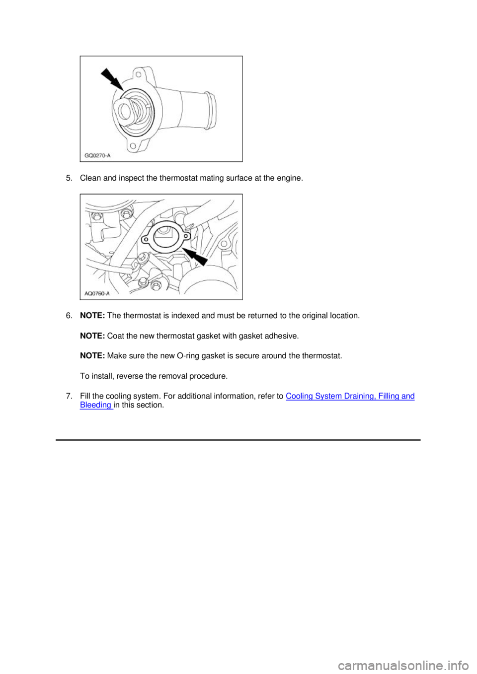 FORD MUSTANG 2003  Workshop Manual 5. Clean and inspect the thermostat mating surface at the engine. 
6.
NOTE:  The thermostat is indexed and must be returned to the original location. 
NOTE:  Coat the new thermostat gasket with gasket