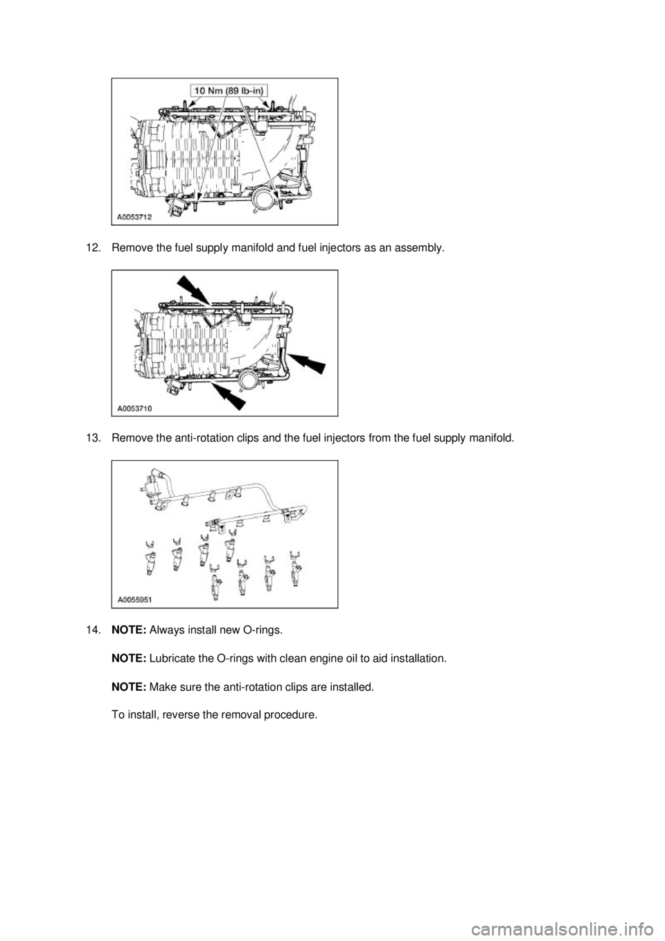 FORD MUSTANG 2003 Workshop Manual 12. Remove the fuel supply manifold and fuel injectors as an assembly.
13. Remove the anti-
rotation clips and the fuel injectors from the fuel supply manifold.
14. NOTE: Always install new O- ring FORD MUSTANG 2003 Workshop Manual 12. Remove the fuel supply manifold and fuel injectors as an assembly.
13. Remove the anti-
rotation clips and the fuel injectors from the fuel supply manifold.
14. NOTE: Always install new O- ring