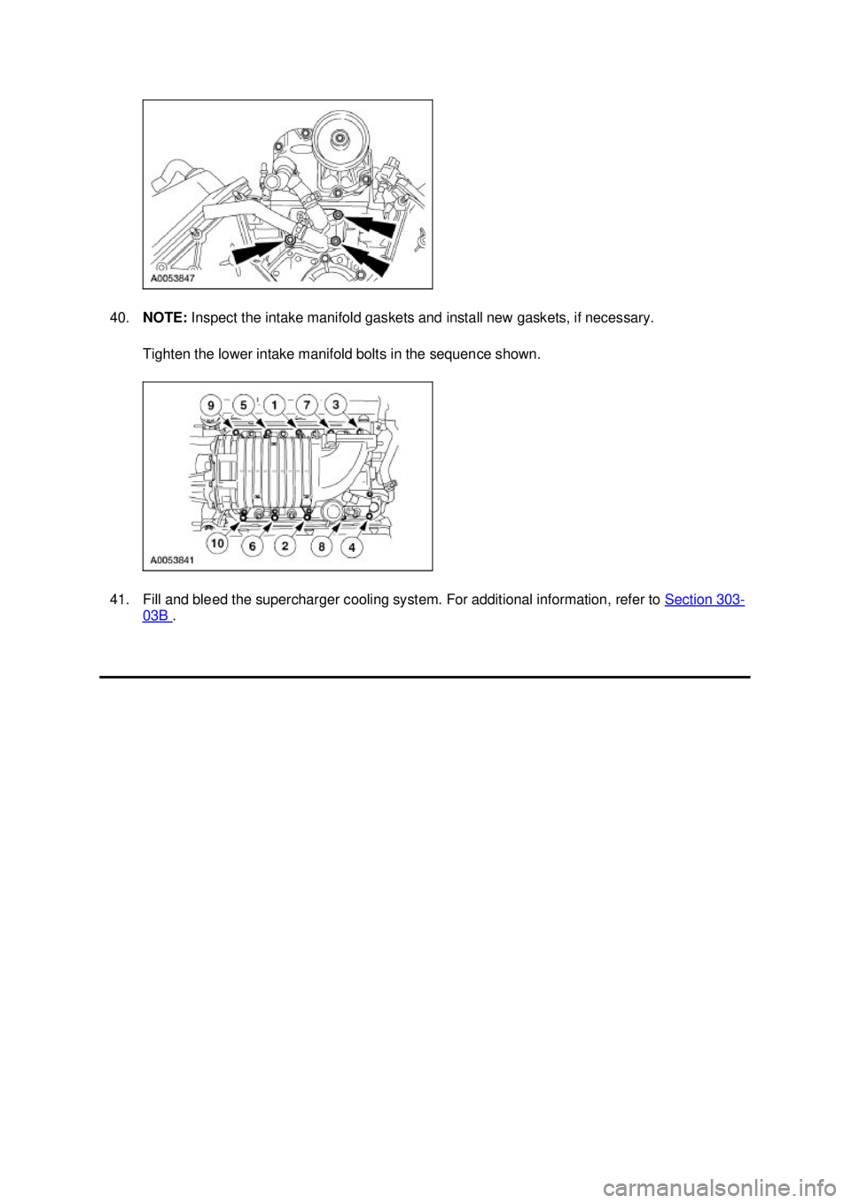FORD MUSTANG 2003  Workshop Manual 40.
NOTE:  Inspect the intake manifold gaskets and install new gaskets, if necessary. 
Tighten the lower intake manifold bolts in the sequence shown. 
41. Fill and bleed the supercharger cooling syste