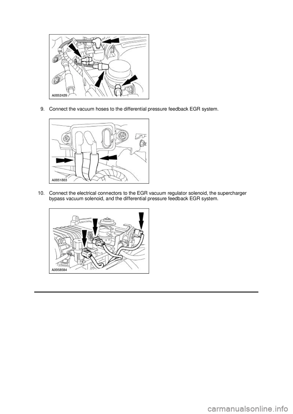 FORD MUSTANG 2003 Workshop Manual 9. Connect the vacuum hoses to the differential pressure feedback EGR system.
10. Connect the electrical connectors to the EGR vacuum regulator solenoid, the supercharger bypass vacuum solenoid, and FORD MUSTANG 2003 Workshop Manual 9. Connect the vacuum hoses to the differential pressure feedback EGR system.
10. Connect the electrical connectors to the EGR vacuum regulator solenoid, the supercharger bypass vacuum solenoid, and