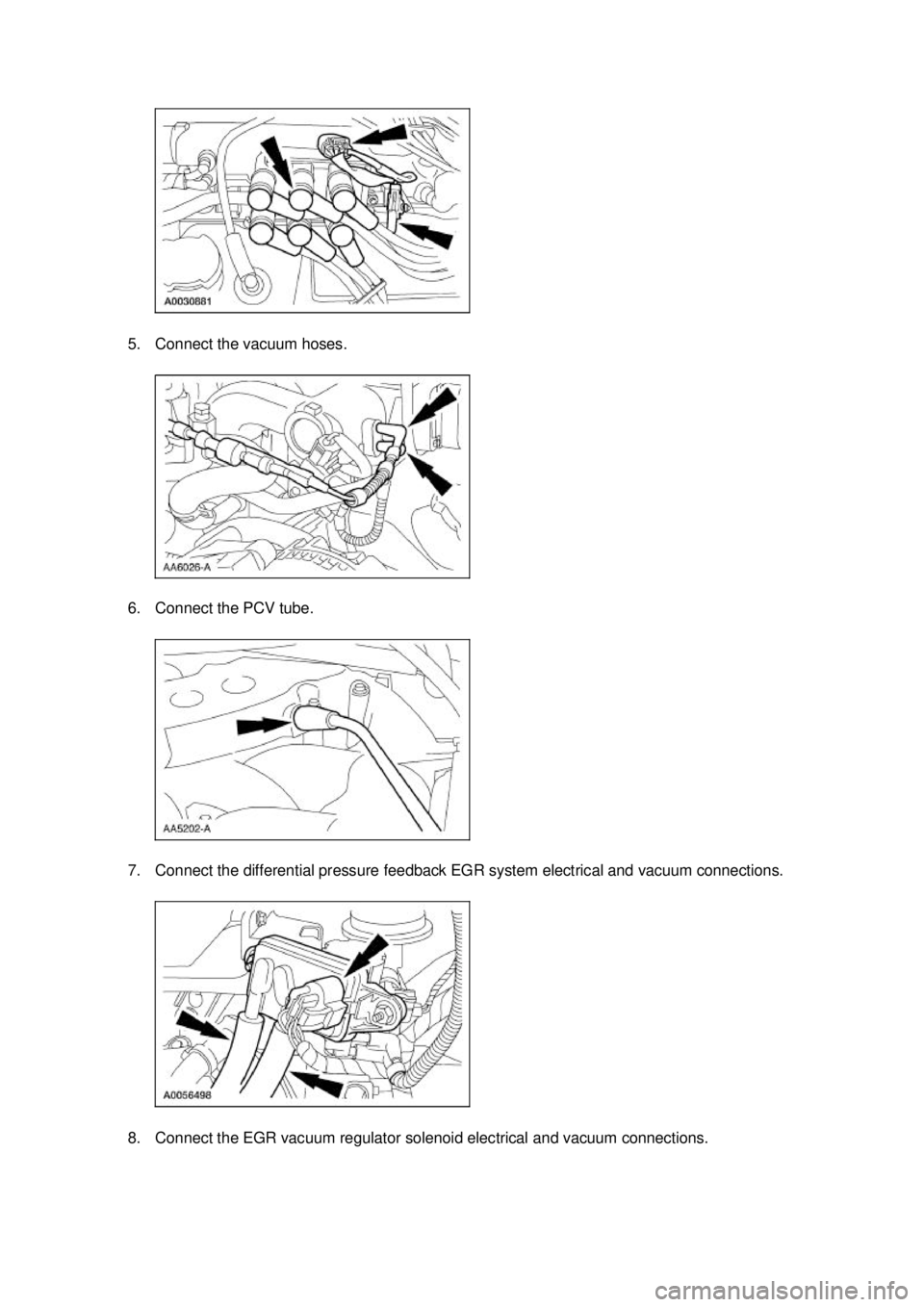 FORD MUSTANG 2003  Workshop Manual 5. Connect the vacuum hoses. 
6. Connect the PCV tube. 
7. Connect the differential pressure feedback EGR system electrical and vacuum connections. 
8. Connect the EGR vacuum regulator solenoid electr