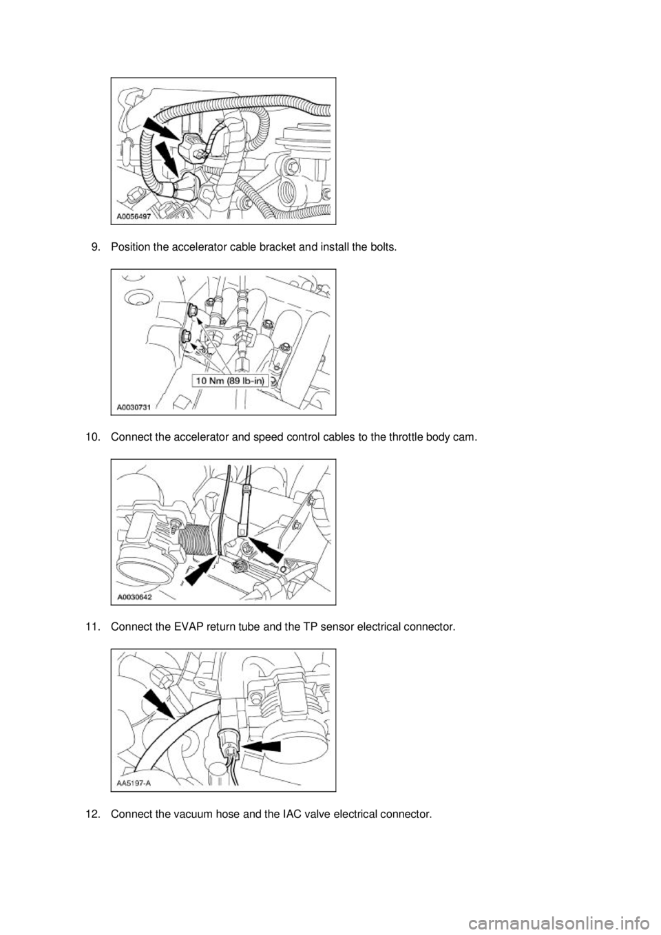 FORD MUSTANG 2003  Workshop Manual 9. Position the accelerator cable bracket and install the bolts. 
10. Connect the accelerator and speed control cables to the throttle body cam. 
11. Connect the EVAP return tube and the TP sensor ele