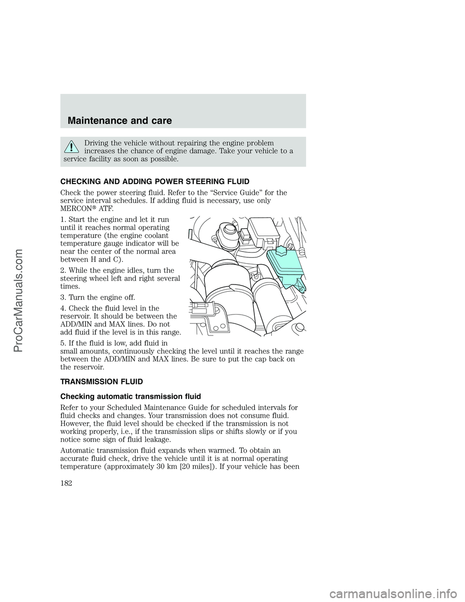 FORD F250 1999  Owners Manual Driving the vehicle without repairing the engine problem
increases the chance of engine damage. Take your vehicle to a
service facility as soon as possible.
CHECKING AND ADDING POWER STEERING FLUID
Ch