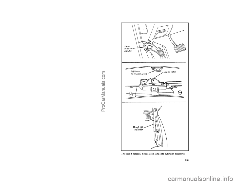FORD TAURUS 1996  Owners Manual 259 [SV03550(ALL)11/94]
full page art:0000689-E
The hood release, hood latch, and lift cylinder assembly
File:15fcsvt.ex
Update:Tue Jan 23 13:58:51 1996
ProCarManuals.com 