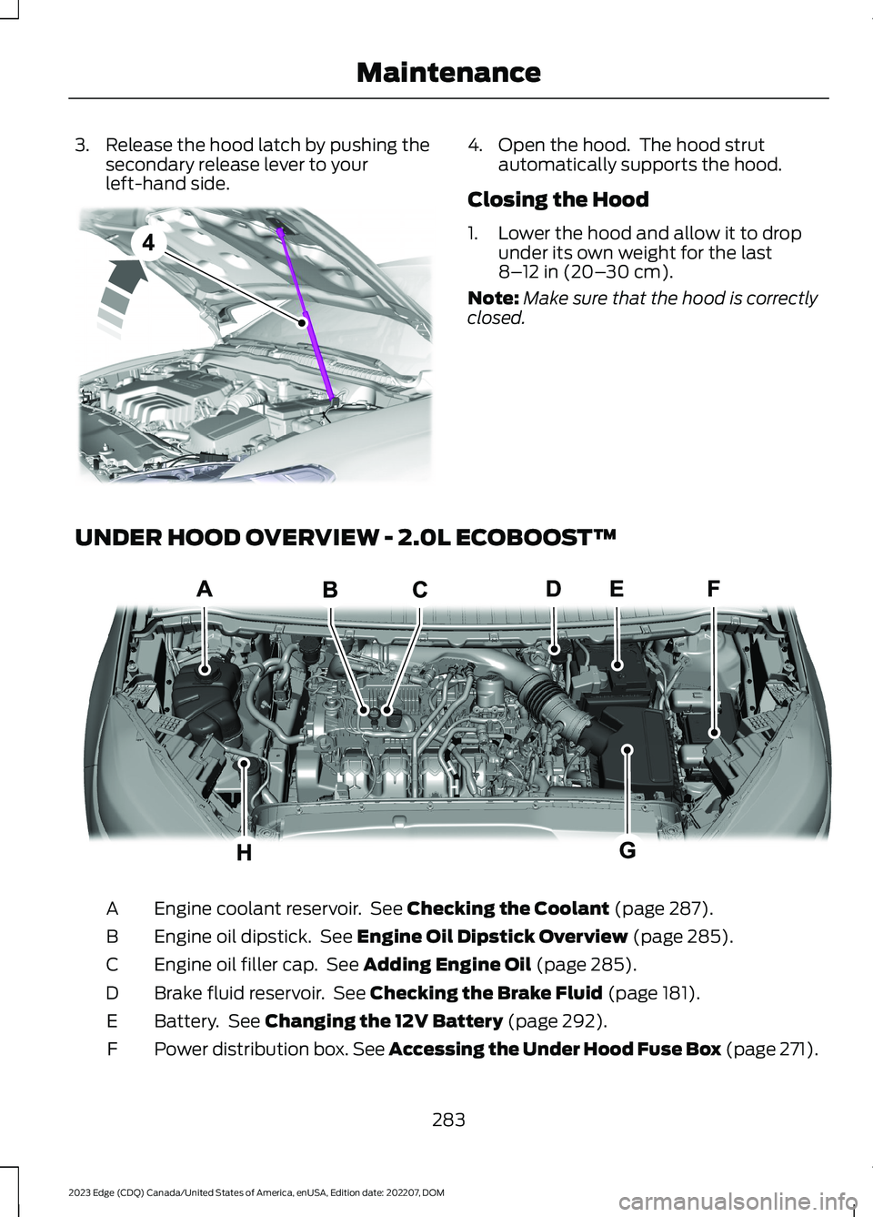 FORD EDGE 2023  Owners Manual 3.Release the hood latch by pushing thesecondary release lever to yourleft-hand side.
4.Open the hood.  The hood strutautomatically supports the hood.
Closing the Hood
1.Lower the hood and allow it to