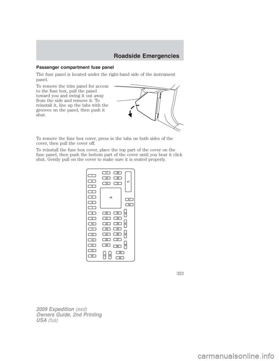 FORD EXPEDITION EL 2009  Owners Manual Passenger compartment fuse panel
The fuse panel is located under the right-hand side of the instrument
panel.
To remove the trim panel for access
to the fuse box, pull the panel
toward you and swing i