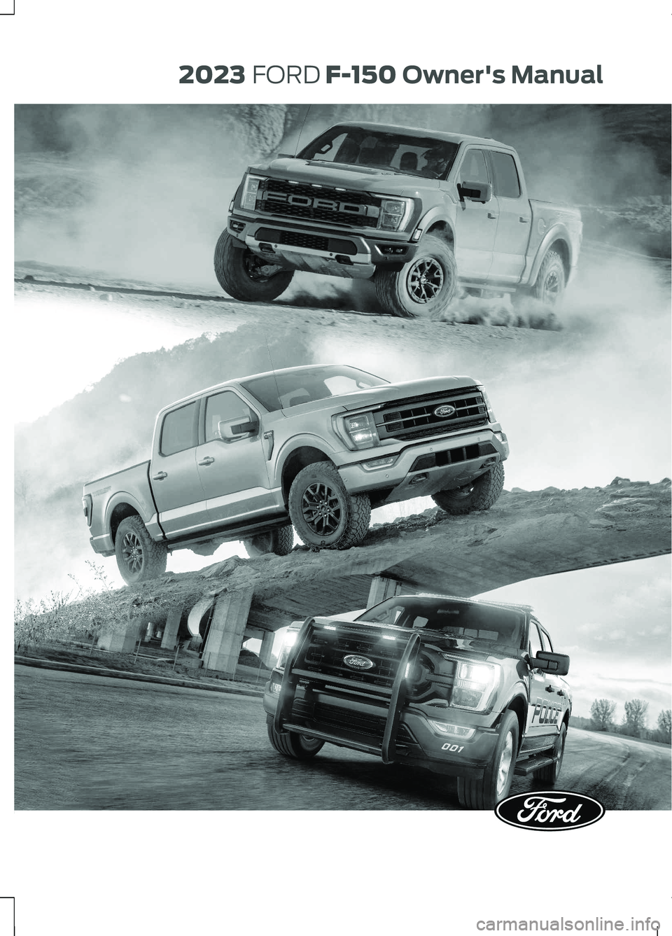 FORD F150 2023 Owners Manual (786 Pages)