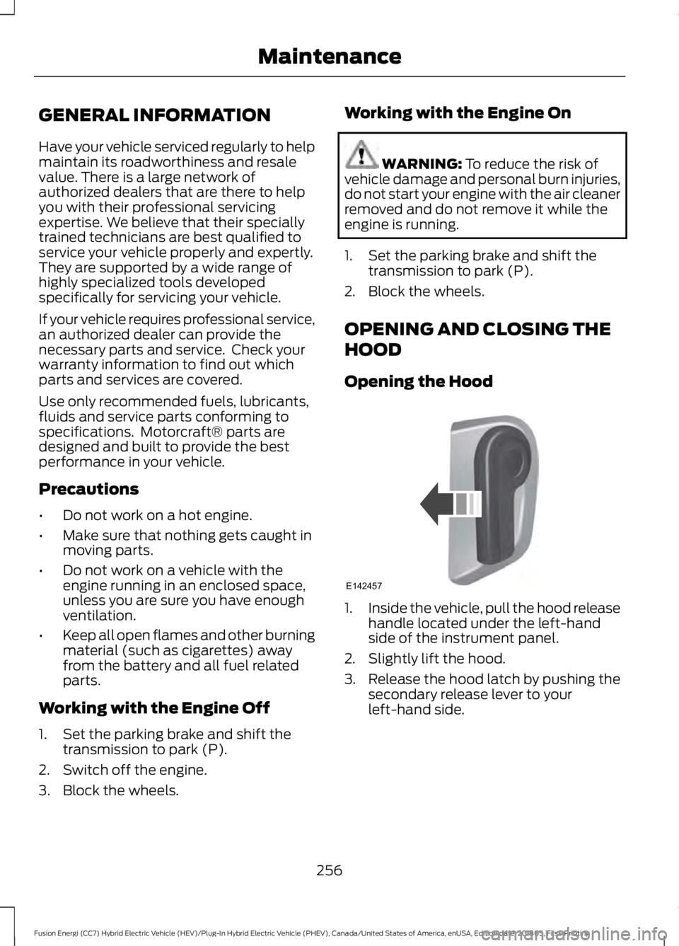 FORD FUSION ENERGI 2019 User Guide GENERAL INFORMATION
Have your vehicle serviced regularly to help
maintain its roadworthiness and resale
value. There is a large network of
authorized dealers that are there to help
you with their prof FORD FUSION ENERGI 2019 User Guide GENERAL INFORMATION
Have your vehicle serviced regularly to help
maintain its roadworthiness and resale
value. There is a large network of
authorized dealers that are there to help
you with their prof