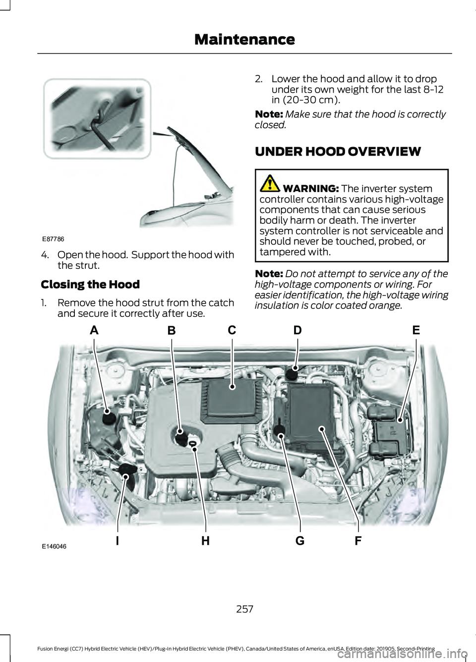 FORD FUSION ENERGI 2020 Owners Manual 4.
Open the hood. Support the hood with
the strut.
Closing the Hood
1. Remove the hood strut from the catch
and secure it correctly after use. 2. Lower the hood and allow it to drop
under its own wei FORD FUSION ENERGI 2020 Owners Manual 4.
Open the hood. Support the hood with
the strut.
Closing the Hood
1. Remove the hood strut from the catch
and secure it correctly after use. 2. Lower the hood and allow it to drop
under its own wei