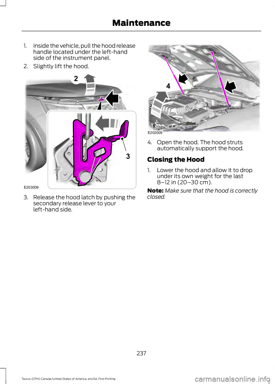 FORD TAURUS 2017 Owners Manual 1.Inside the vehicle, pull the hood releasehandle located under the left-handside of the instrument panel.
2. Slightly lift the hood.
3. Release the hood latch by pushing thesecondary release lever to FORD TAURUS 2017 Owners Manual 1.Inside the vehicle, pull the hood releasehandle located under the left-handside of the instrument panel.
2. Slightly lift the hood.
3. Release the hood latch by pushing thesecondary release lever to