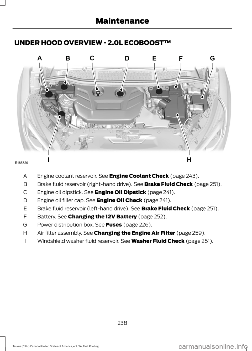 FORD TAURUS 2017  Owners Manual UNDER HOOD OVERVIEW - 2.0L ECOBOOST™
Engine coolant reservoir. See Engine Coolant Check (page 243).A
Brake fluid reservoir (right-hand drive). See Brake Fluid Check (page 251).B
Engine oil dipstick.