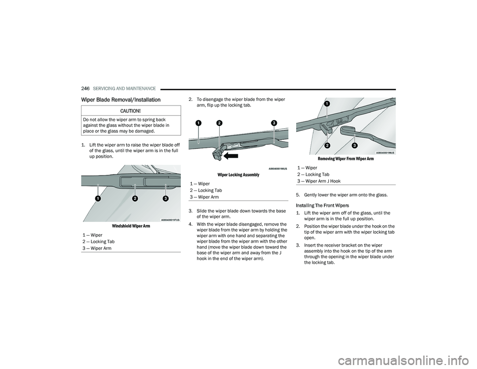DODGE CHARGER 2022 Owners Manual
246SERVICING AND MAINTENANCE
Wiper Blade Removal/Installation
1. Lift the wiper arm to raise the wiper blade off
of the glass, until the wiper arm is in the full
up position.
Windshield Wiper A DODGE CHARGER 2022 Owners Manual
246SERVICING AND MAINTENANCE
Wiper Blade Removal/Installation
1. Lift the wiper arm to raise the wiper blade off
of the glass, until the wiper arm is in the full
up position.
Windshield Wiper A