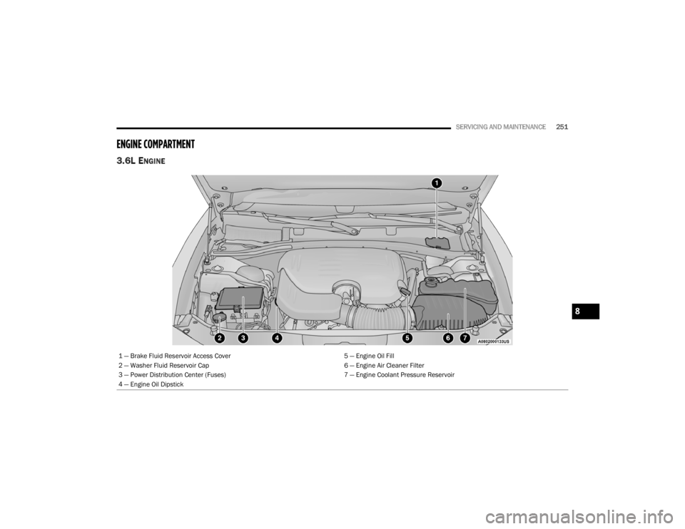 DODGE CHALLENGER 2021  Owners Manual 
SERVICING AND MAINTENANCE251
ENGINE COMPARTMENT  
3.6L ENGINE 
1 — Brake Fluid Reservoir Access Cover 5 — Engine Oil Fill
2 — Washer Fluid Reservoir Cap 6 — Engine Air Cleaner Filter
3 — Po