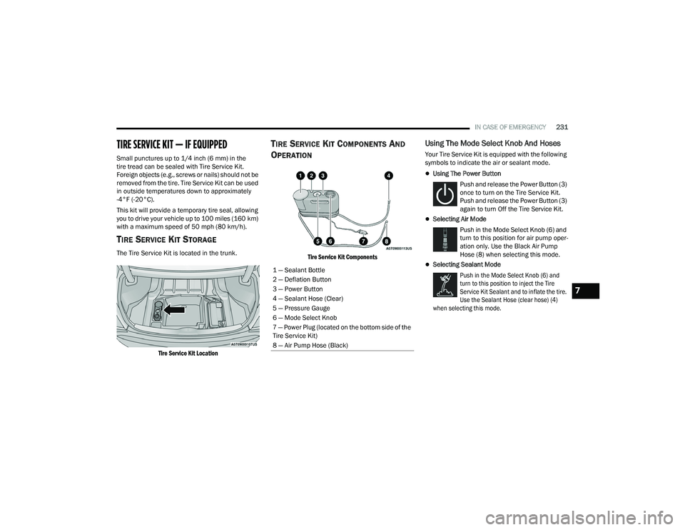 DODGE CHARGER 2021  Owners Manual 
IN CASE OF EMERGENCY231
TIRE SERVICE KIT — IF EQUIPPED
Small punctures up to 1/4 inch (6 mm) in the
tire tread can be sealed with Tire Service Kit. 
Foreign objects (e.g., screws or nails) should n