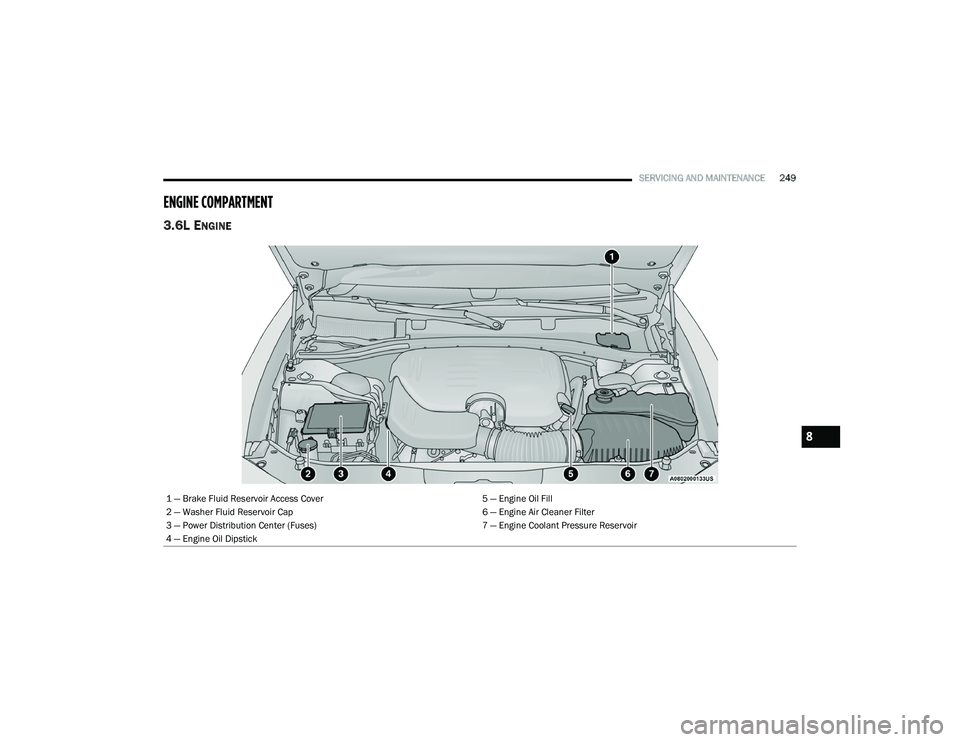 DODGE CHARGER 2021  Owners Manual 
SERVICING AND MAINTENANCE249
ENGINE COMPARTMENT  
3.6L ENGINE 
1 — Brake Fluid Reservoir Access Cover 5 — Engine Oil Fill
2 — Washer Fluid Reservoir Cap 6 — Engine Air Cleaner Filter
3 — Po