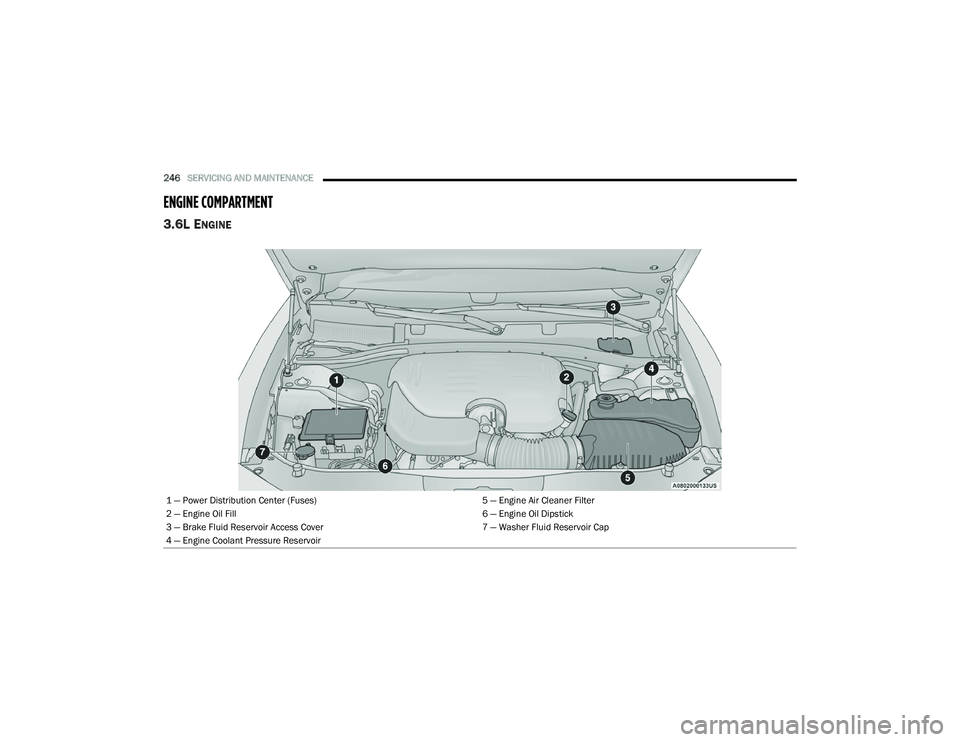 DODGE CHALLENGER 2020 User Guide
246SERVICING AND MAINTENANCE
ENGINE COMPARTMENT
3.6L ENGINE
1 — Power Distribution Center (Fuses) 5 — Engine Air Cleaner Filter
2 — Engine Oil Fill 6 — Engine Oil Dipstick
3 — Brake Fl DODGE CHALLENGER 2020 User Guide
246SERVICING AND MAINTENANCE
ENGINE COMPARTMENT
3.6L ENGINE
1 — Power Distribution Center (Fuses) 5 — Engine Air Cleaner Filter
2 — Engine Oil Fill 6 — Engine Oil Dipstick
3 — Brake Fl