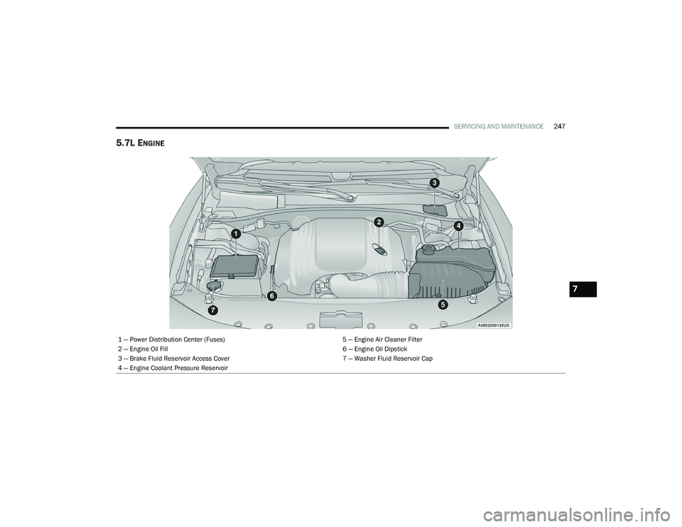 DODGE CHALLENGER 2020 User Guide
SERVICING AND MAINTENANCE247
5.7L ENGINE
1 — Power Distribution Center (Fuses) 5 — Engine Air Cleaner Filter
2 — Engine Oil Fill 6 — Engine Oil Dipstick
3 — Brake Fluid Reservoir Access Co DODGE CHALLENGER 2020 User Guide
SERVICING AND MAINTENANCE247
5.7L ENGINE
1 — Power Distribution Center (Fuses) 5 — Engine Air Cleaner Filter
2 — Engine Oil Fill 6 — Engine Oil Dipstick
3 — Brake Fluid Reservoir Access Co