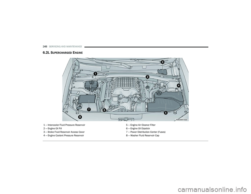 DODGE CHALLENGER 2020 User Guide
248SERVICING AND MAINTENANCE
6.2L SUPERCHARGED ENGINE
1 — Intercooler Fluid Pressure Reservoir 5 — Engine Air Cleaner Filter
2 — Engine Oil Fill 6 — Engine Oil Dipstick
3 — Brake Fluid R DODGE CHALLENGER 2020 User Guide
248SERVICING AND MAINTENANCE
6.2L SUPERCHARGED ENGINE
1 — Intercooler Fluid Pressure Reservoir 5 — Engine Air Cleaner Filter
2 — Engine Oil Fill 6 — Engine Oil Dipstick
3 — Brake Fluid R