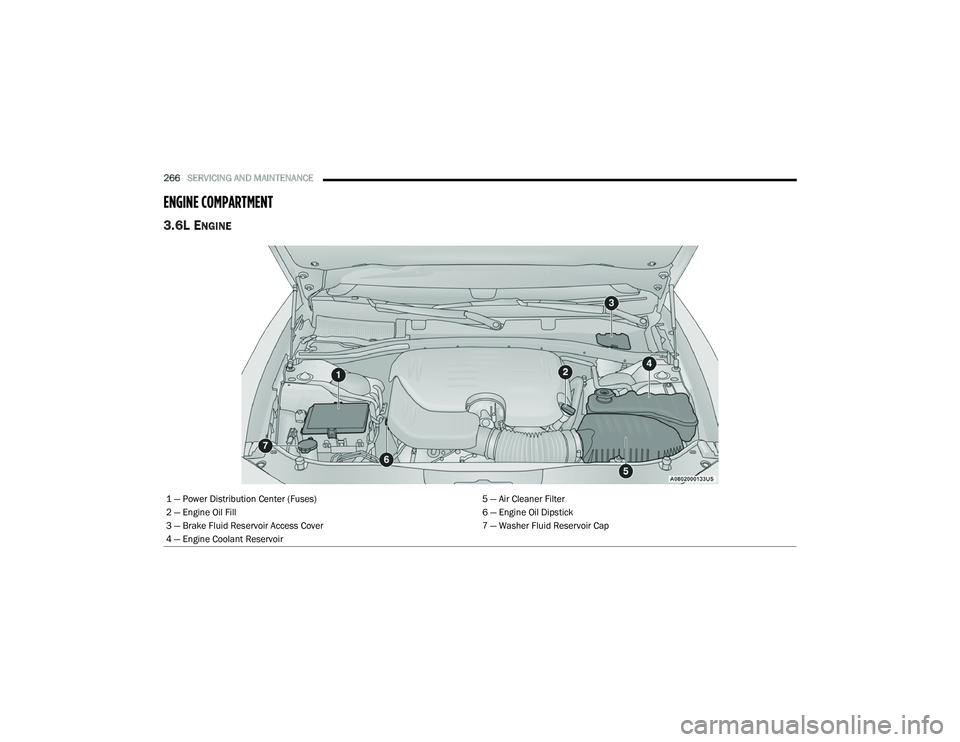 DODGE CHARGER 2020  Owners Manual 
266SERVICING AND MAINTENANCE  
ENGINE COMPARTMENT  
3.6L ENGINE 
1 — Power Distribution Center (Fuses) 5 — Air Cleaner Filter
2 — Engine Oil Fill 6 — Engine Oil Dipstick
3 — Brake Fluid Res