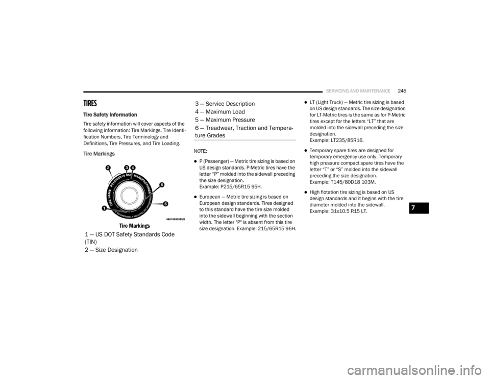DODGE GRAND CARAVAN 2020  Owners Manual 
SERVICING AND MAINTENANCE245
TIRES
Tire Safety Information   
Tire safety information will cover aspects of the 
following information: Tire Markings, Tire Identi -
fication Numbers, Tire Terminology