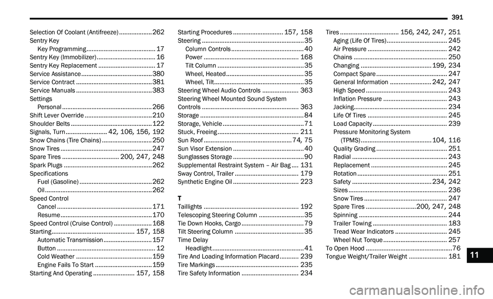 DODGE JOURNEY 2020  Owners Manual 
391
Selection Of Coolant (Antifreeze)...................262Sentry KeyKey Programming........................................17Sentry Key (Immobilizer)..................................16Sentry Key Re