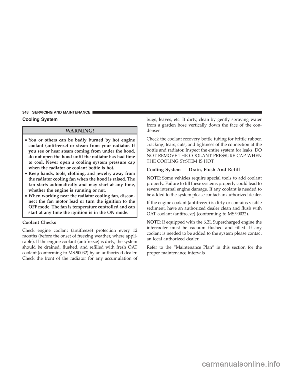 DODGE CHARGER SRT 2019  Owners Manual Cooling System
WARNING!
•You or others can be badly burned by hot engine
coolant (antifreeze) or steam from your radiator. If
you see or hear steam coming from under the hood,
do not open the hood u