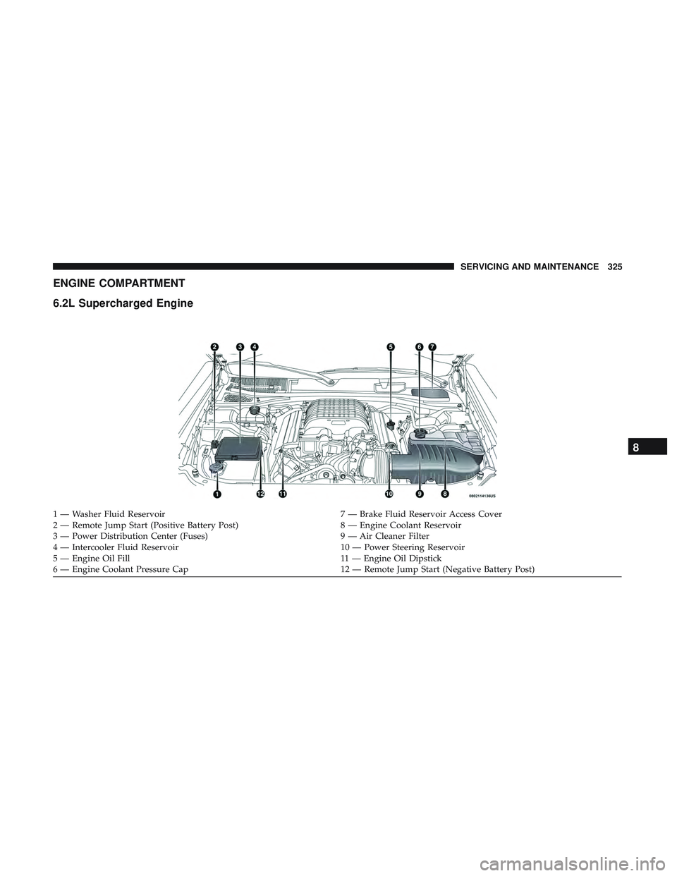 DODGE CHARGER SRT 2018 Owners Manual ENGINE COMPARTMENT
6.2L Supercharged Engine
1 — Washer Fluid Reservoir7 — Brake Fluid Reservoir Access Cover
2 — Remote Jump Start (Positive Battery Post) 8 — Engine Coolant Reservoir
3 — Po