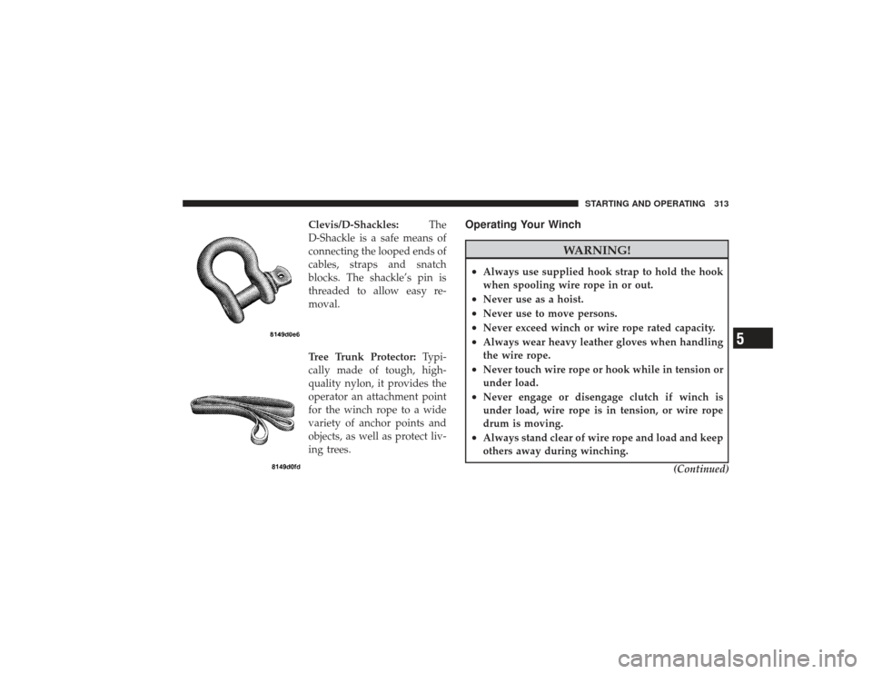 DODGE RAM 2500 DIESEL 2009 4.G Owners Manual Clevis/D-Shackles:The
D-Shackle is a safe means of
connecting the looped ends of
cables, straps and snatch
blocks. The shackle’s pin is
threaded to allow easy re-
moval.
Tree Trunk Protector: Typi-
