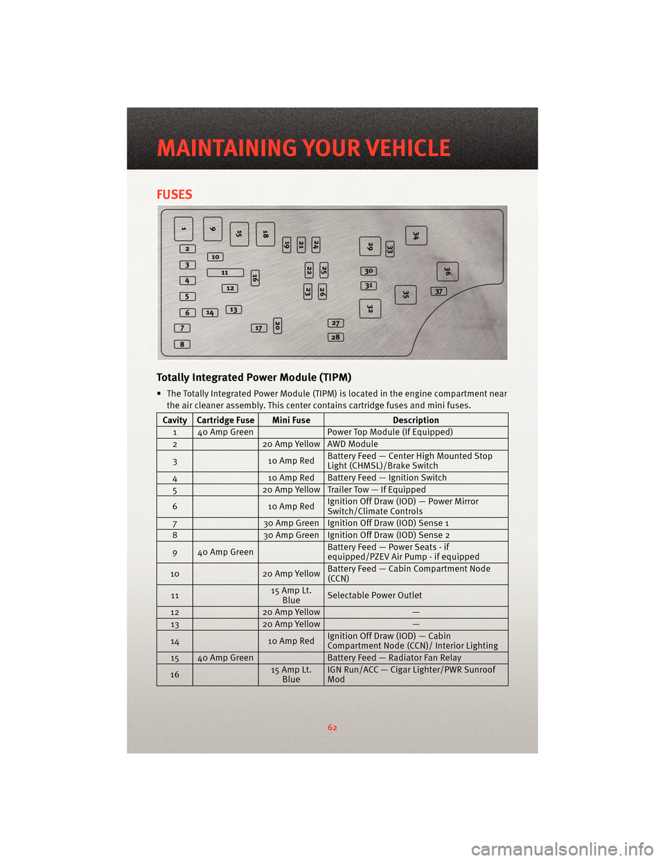 DODGE AVENGER 2010 2.G User Guide FUSES
TotallyIntegrated Power Module (TIPM)
• The Totally Integrated Power Module (TIPM) is located in the engine compartment near
the air cleaner assembly. This center contains cartridge fuses and DODGE AVENGER 2010 2.G User Guide FUSES
TotallyIntegrated Power Module (TIPM)
• The Totally Integrated Power Module (TIPM) is located in the engine compartment near
the air cleaner assembly. This center contains cartridge fuses and