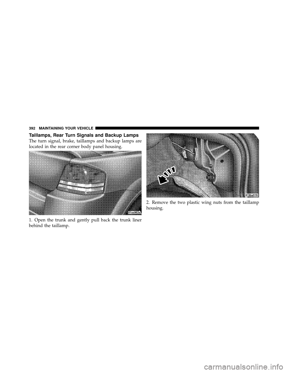 DODGE AVENGER 2010 2.G Owners Manual Taillamps, Rear Turn Signals and Backup Lamps
The turn signal, brake, taillamps and backup lamps are
located in the rear corner body panel housing.
1. Open the trunk and gently pull back the trunk lin