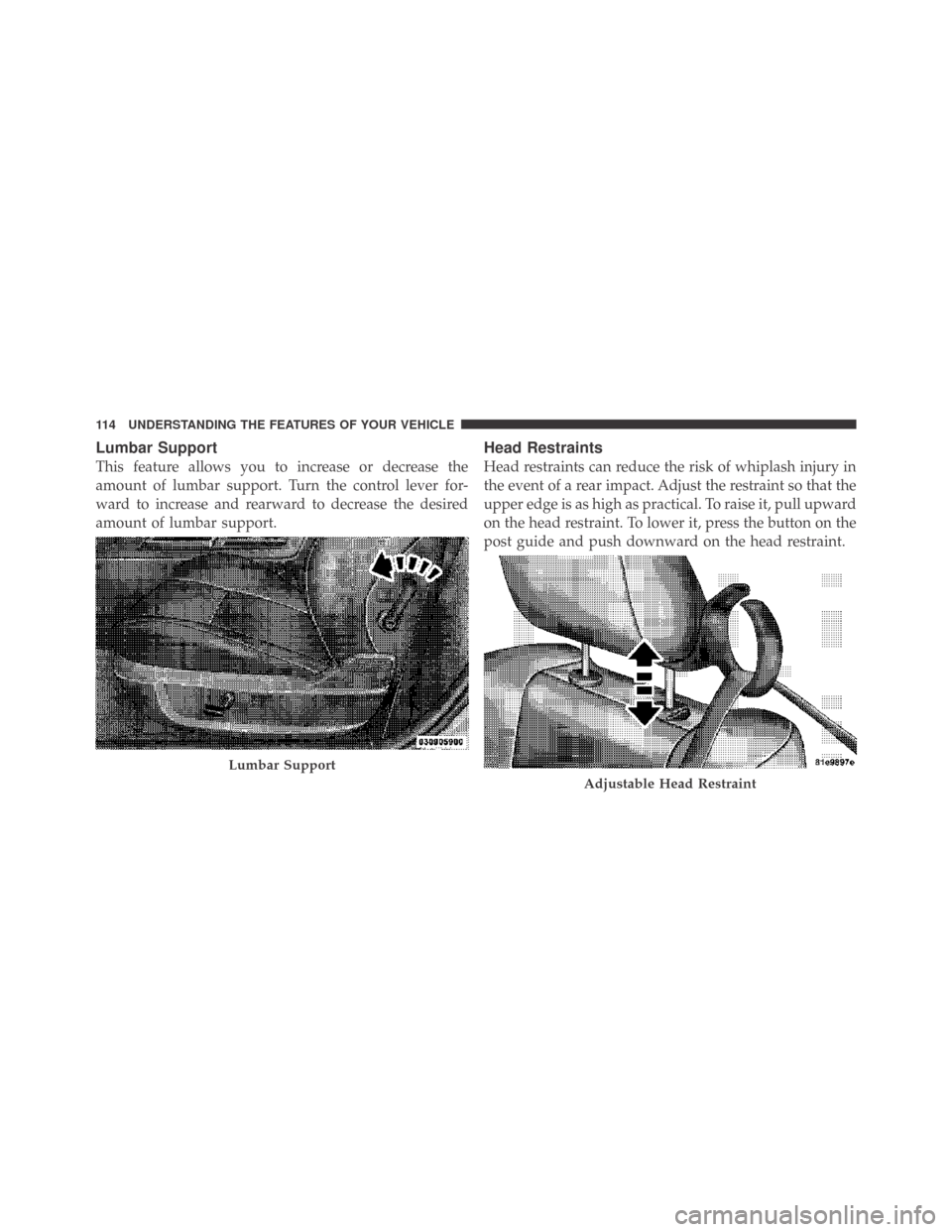 DODGE CHALLENGER 2009 3.G Owners Manual Lumbar Support
This feature allows you to increase or decrease the
amount of lumbar support. Turn the control lever for-
ward to increase and rearward to decrease the desired
amount of lumbar support.