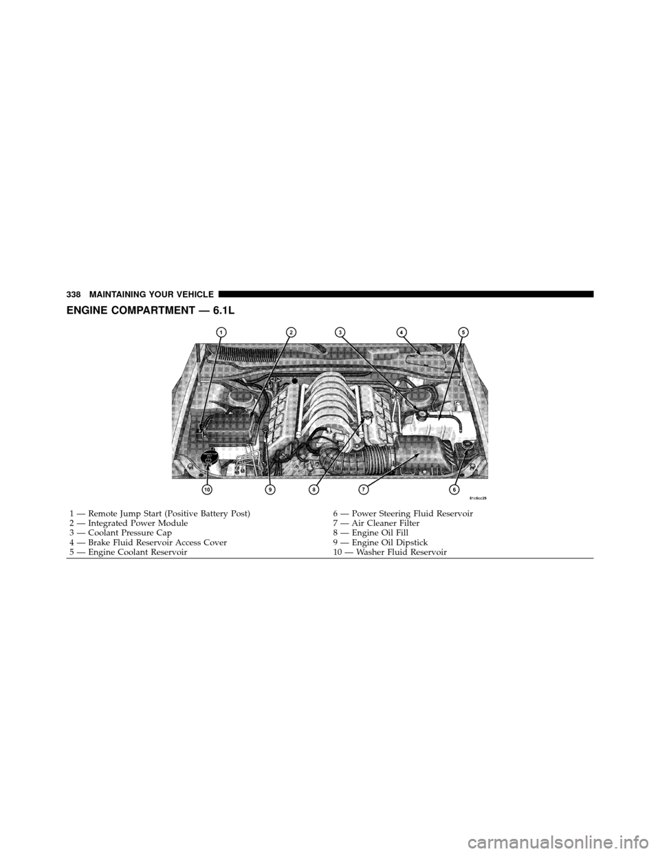 DODGE CHALLENGER SRT 2010 3.G Owners Manual ENGINE COMPARTMENT — 6.1L
1 — Remote Jump Start (Positive Battery Post)6 — Power Steering Fluid Reservoir
2 — Integrated Power Module 7 — Air Cleaner Filter
3 — Coolant Pressure Cap 8 — 