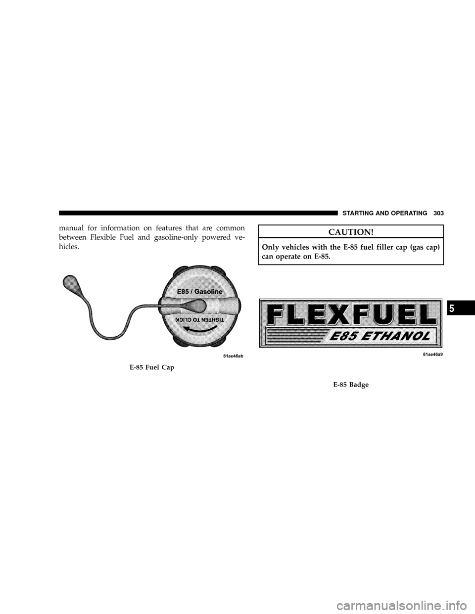 DODGE DAKOTA 2009 3.G Owners Manual manual for information on features that are common
between Flexible Fuel and gasoline-only powered ve-
hicles.CAUTION!
Only vehicles with the E-85 fuel filler cap (gas cap)
can operate on E-85.
E-85 F DODGE DAKOTA 2009 3.G Owners Manual manual for information on features that are common
between Flexible Fuel and gasoline-only powered ve-
hicles.CAUTION!
Only vehicles with the E-85 fuel filler cap (gas cap)
can operate on E-85.
E-85 F
