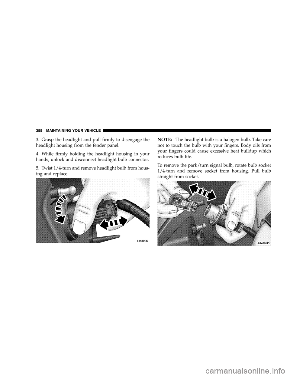 DODGE DAKOTA 2009 3.G Owners Manual 3. Grasp the headlight and pull firmly to disengage the
headlight housing from the fender panel.
4. While firmly holding the headlight housing in your
hands, unlock and disconnect headlight bulb conne