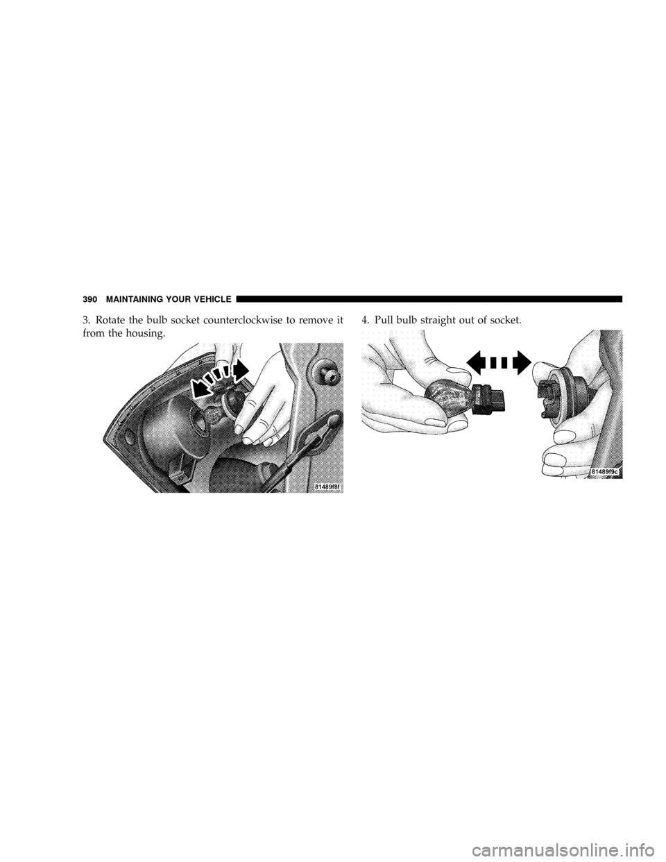 DODGE DAKOTA 2009 3.G Owners Manual 3. Rotate the bulb socket counterclockwise to remove it
from the housing.4. Pull bulb straight out of socket.
390 MAINTAINING YOUR VEHICLE 