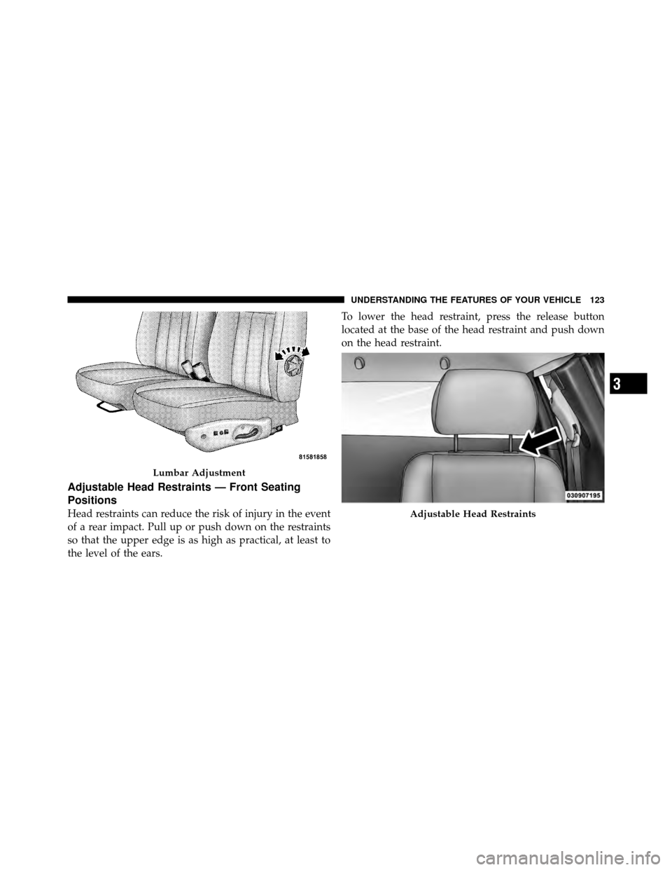 DODGE DAKOTA 2010 3.G Owners Manual Adjustable Head Restraints — Front Seating
Positions
Head restraints can reduce the risk of injury in the event
of a rear impact. Pull up or push down on the restraints
so that the upper edge is as 
