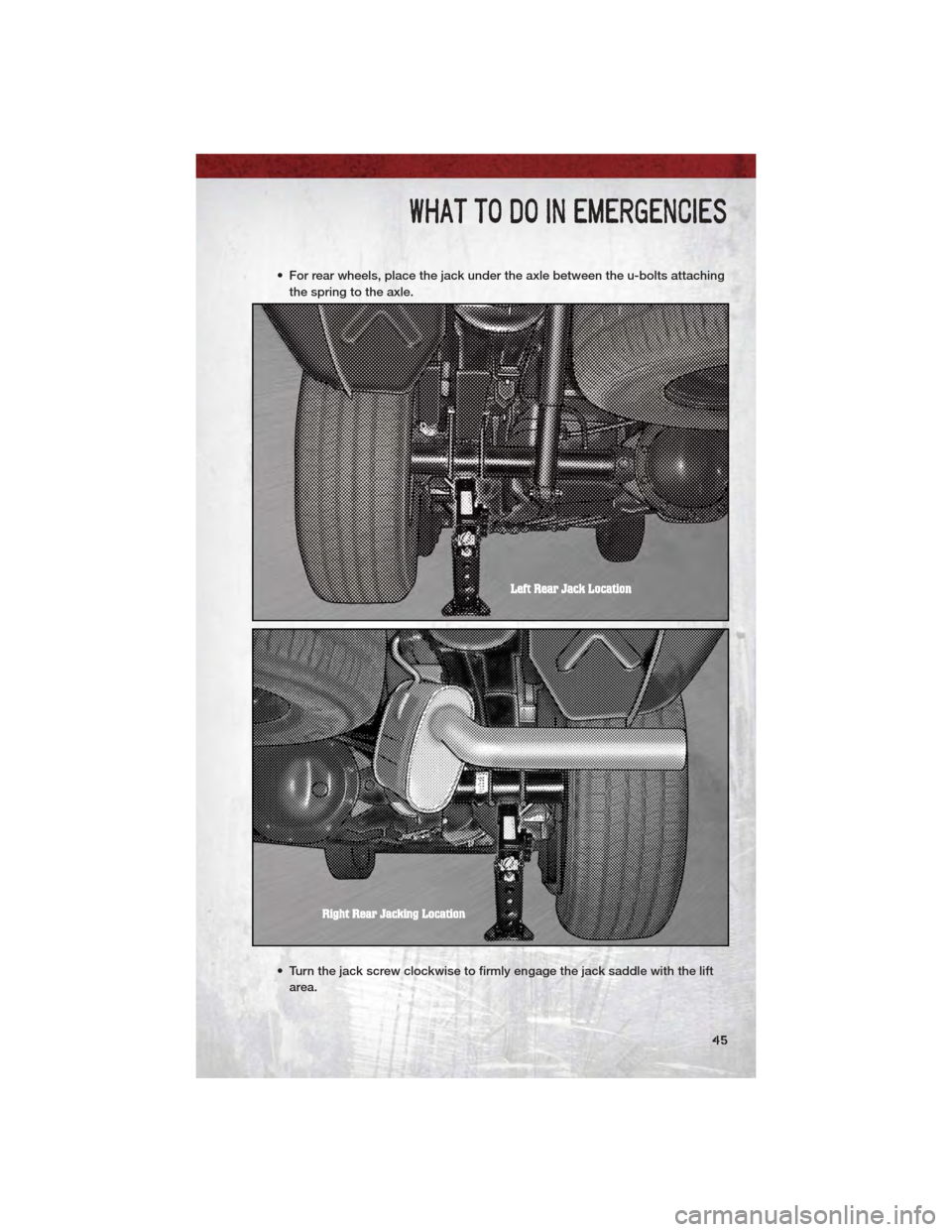 DODGE DAKOTA 2011 3.G Service Manual • For rear wheels, place the jack under the axle between the u-bolts attachingthe spring to the axle.
• Turn the jack screw clockwise to firmly engage the jack saddle with the lift area.
WHAT TO D DODGE DAKOTA 2011 3.G Service Manual • For rear wheels, place the jack under the axle between the u-bolts attachingthe spring to the axle.
• Turn the jack screw clockwise to firmly engage the jack saddle with the lift area.
WHAT TO D