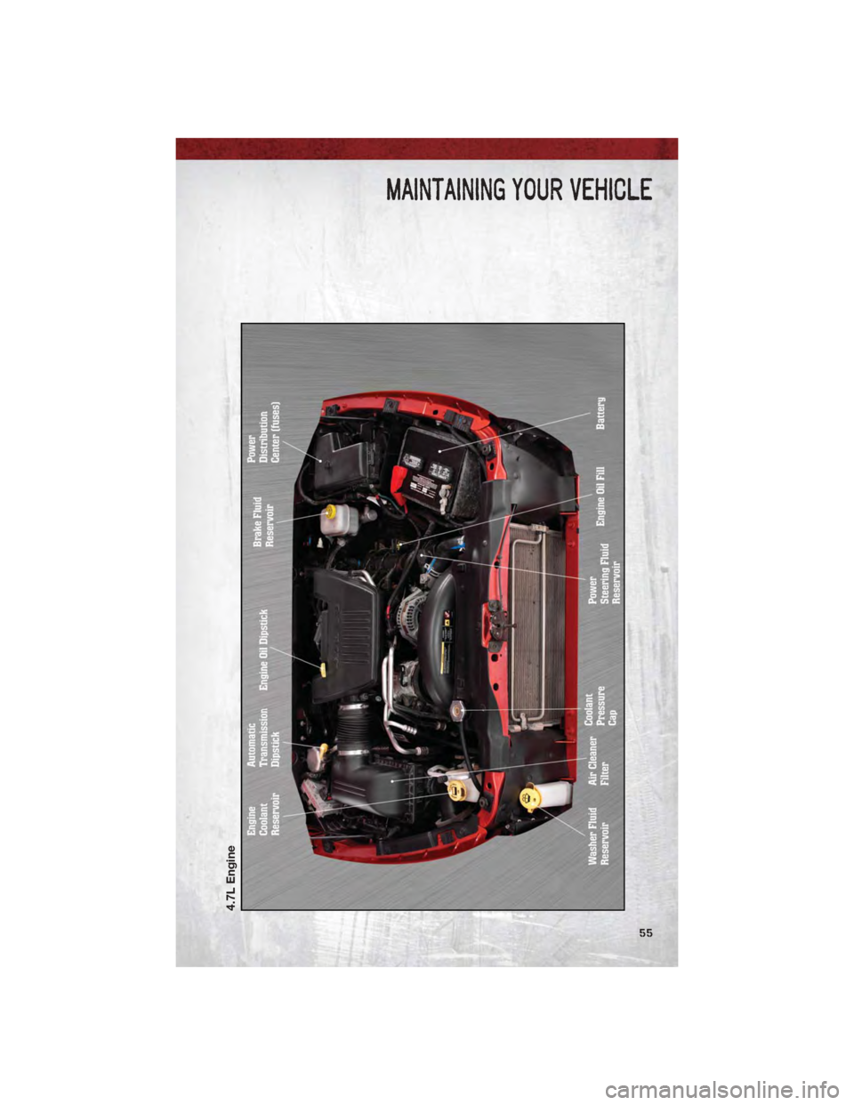DODGE DAKOTA 2011 3.G Workshop Manual 4.7L Engine
MAINTAINING YOUR VEHICLE
55 DODGE DAKOTA 2011 3.G Workshop Manual 4.7L Engine
MAINTAINING YOUR VEHICLE
55