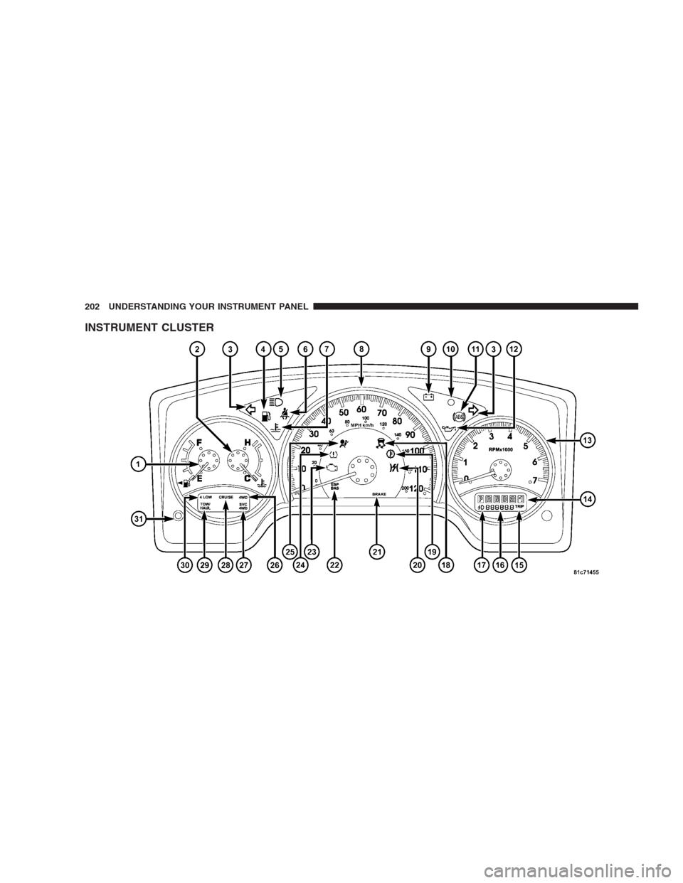 DODGE DURANGO 2009 2.G Owners Manual INSTRUMENT CLUSTER
202 UNDERSTANDING YOUR INSTRUMENT PANEL 