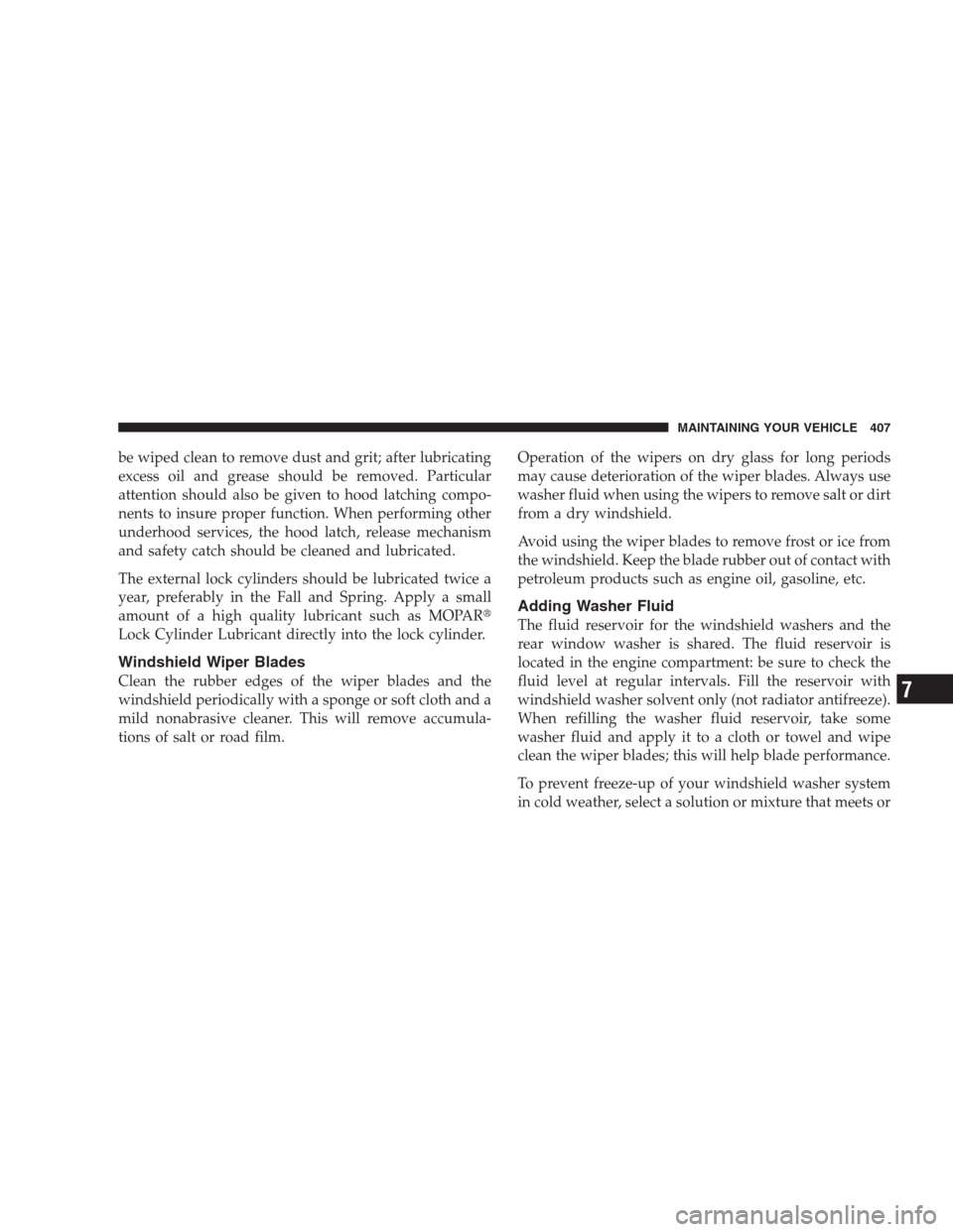 DODGE DURANGO 2009 2.G Owners Manual be wiped clean to remove dust and grit; after lubricating
excess oil and grease should be removed. Particular
attention should also be given to hood latching compo-
nents to insure proper function. Wh