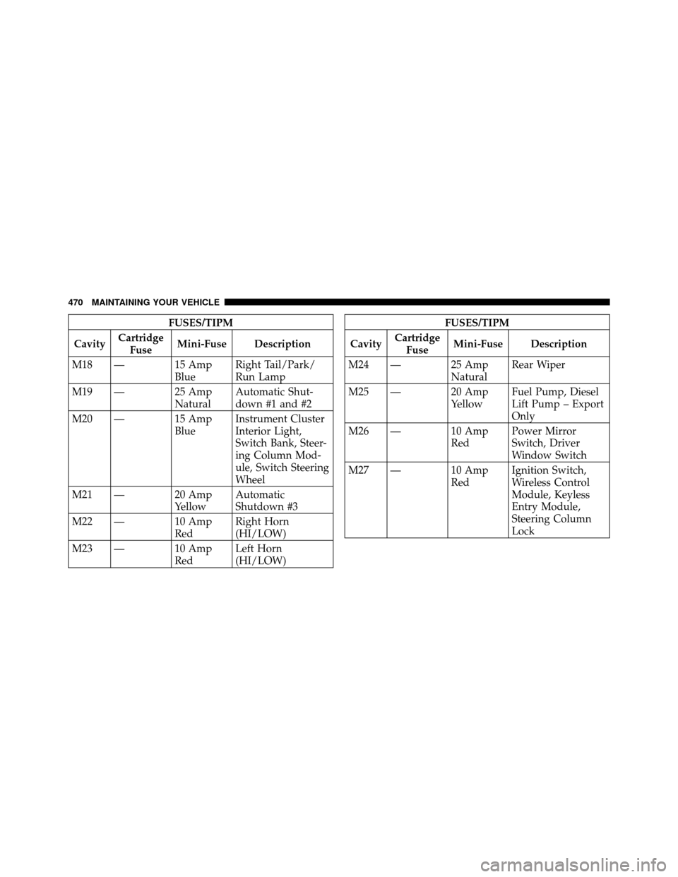 DODGE GRAND CARAVAN 2010 5.G Owners Manual 
FUSES/TIPM
Cavity Cartridge
Fuse Mini-Fuse Description
M18 — 15 Amp BlueRight Tail/Park/
Run Lamp
M19 — 25 Amp NaturalAutomatic Shut-
down #1 and #2
M20 — 15 Amp BlueInstrument Cluster
Interior