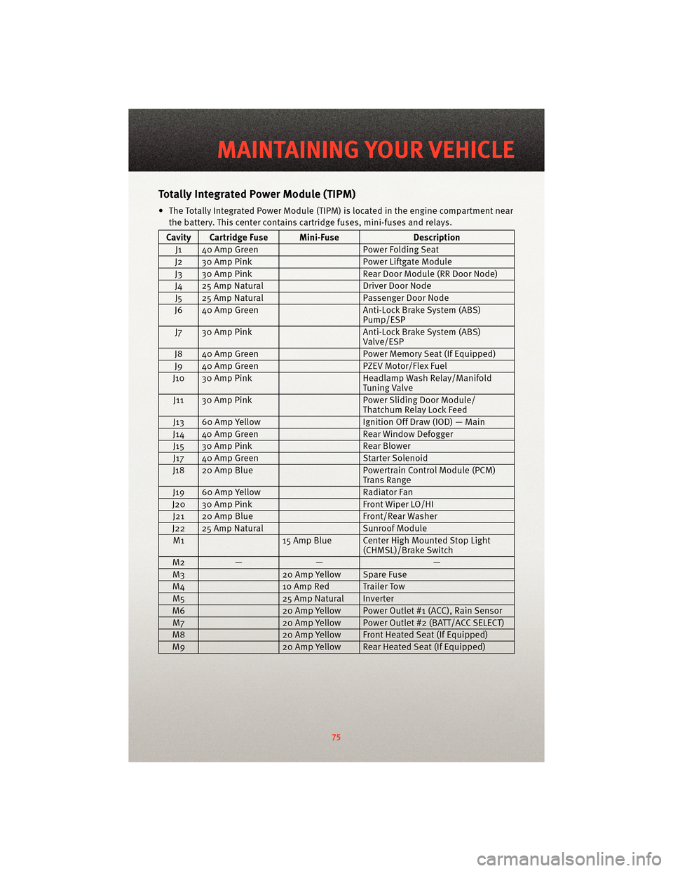 DODGE GRAND CARAVAN 2010 5.G User Guide TotallyIntegrated Power Module (TIPM)
• The Totally Integrated Power Module (TIPM) is located in the engine compartment near
the battery. This center contains cartridge fuses, mini-fuses and relays.