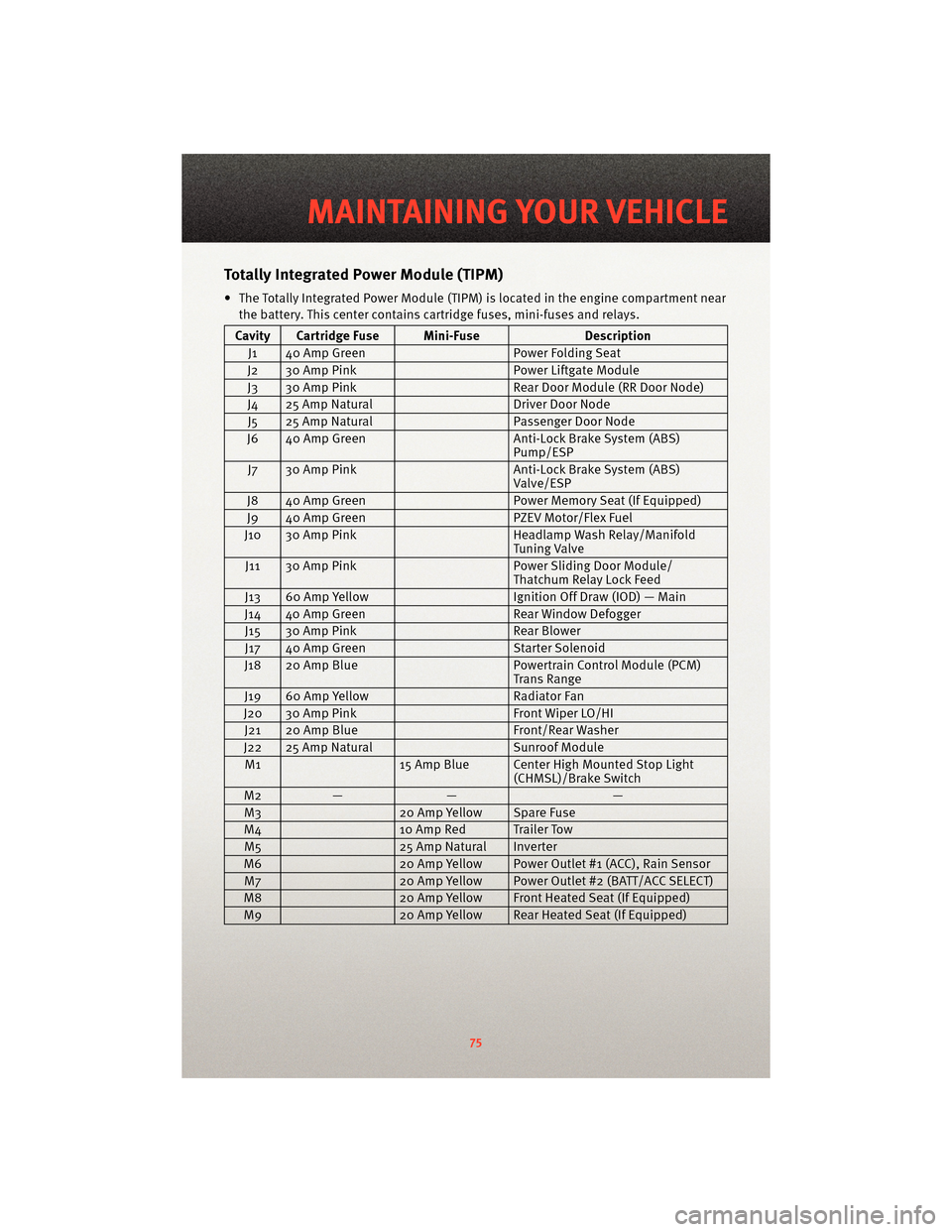 DODGE GRAND CARAVAN 2010 5.G User Guide TotallyIntegrated Power Module (TIPM)
• The Totally Integrated Power Module (TIPM) is located in the engine compartment near
the battery. This center contains cartridge fuses, mini-fuses and relays. DODGE GRAND CARAVAN 2010 5.G User Guide TotallyIntegrated Power Module (TIPM)
• The Totally Integrated Power Module (TIPM) is located in the engine compartment near
the battery. This center contains cartridge fuses, mini-fuses and relays.