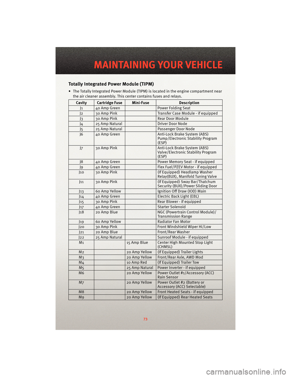 DODGE JOURNEY 2010 1.G User Guide TotallyIntegrated Power Module (TIPM)
• The Totally Integrated Power Module (TIPM) is located in the engine compartment near
the air cleaner assembly. This center contains fuses and relays.
Cavity C