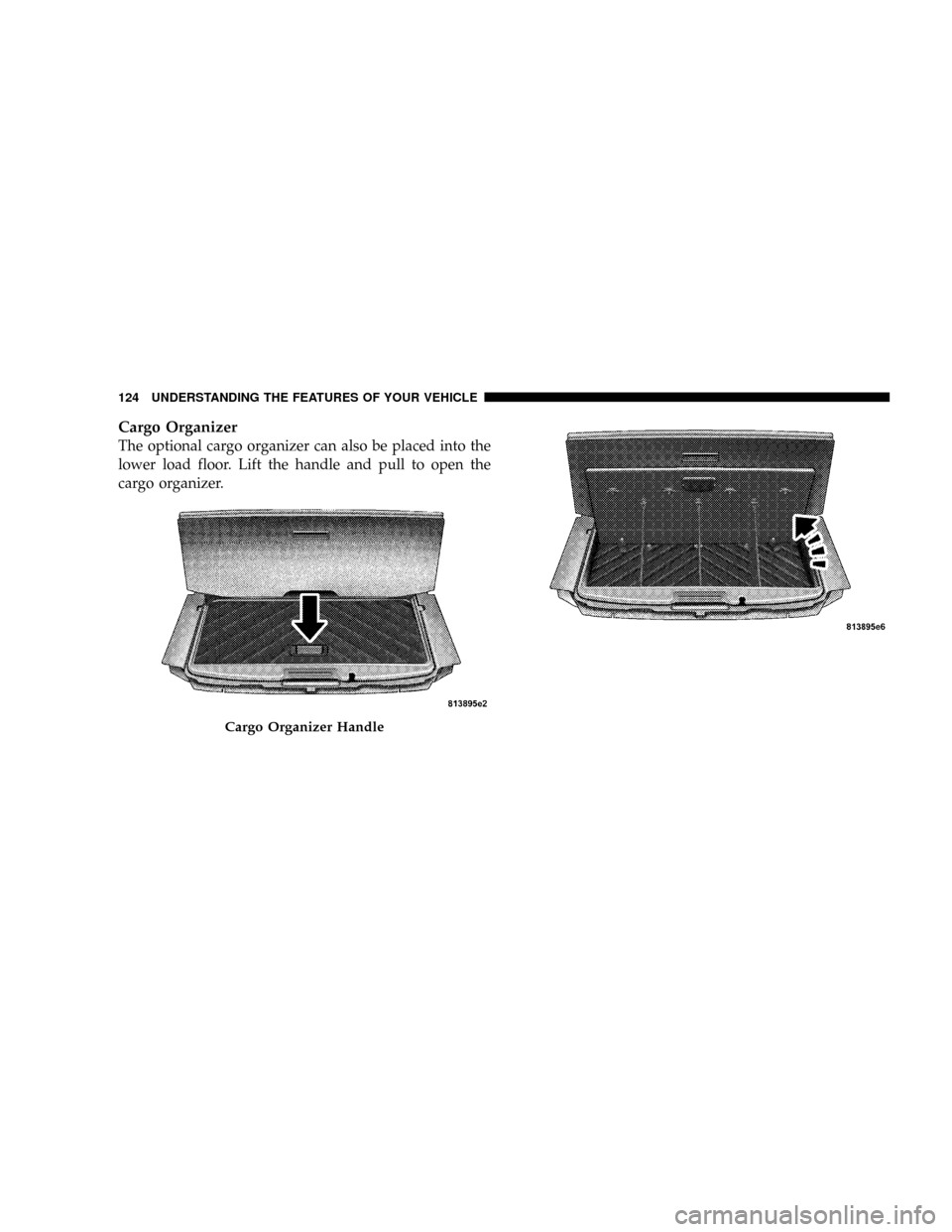 DODGE MAGNUM SRT 2007 1.G Owners Manual Cargo Organizer
The optional cargo organizer can also be placed into the
lower load floor. Lift the handle and pull to open the
cargo organizer.
Cargo Organizer Handle
124 UNDERSTANDING THE FEATURES O