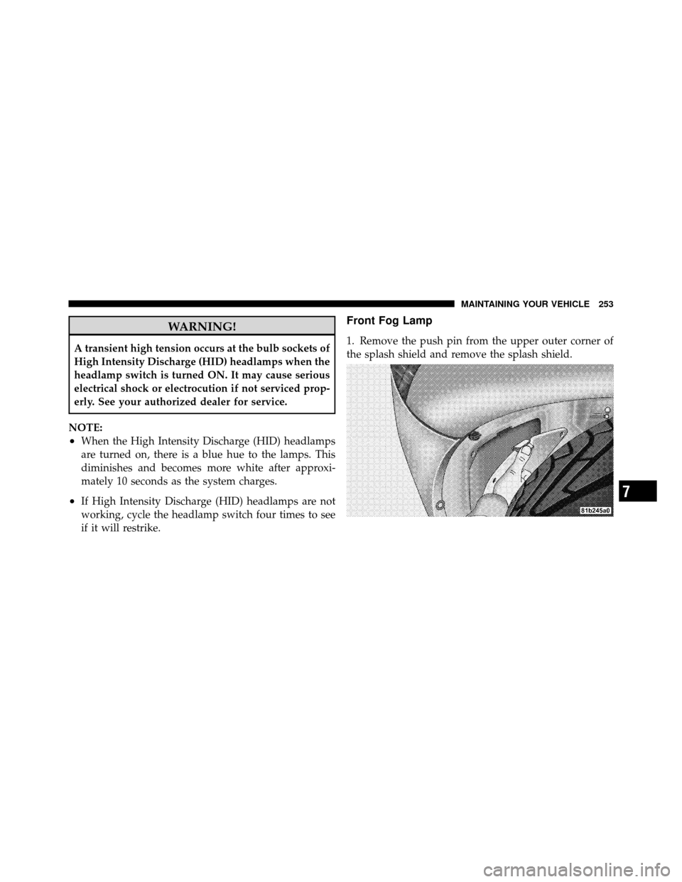 DODGE VIPER 2010 ZB II / 2.G Owners Manual WARNING!
A transient high tension occurs at the bulb sockets of
High Intensity Discharge (HID) headlamps when the
headlamp switch is turned ON. It may cause serious
electrical shock or electrocution i DODGE VIPER 2010 ZB II / 2.G Owners Manual WARNING!
A transient high tension occurs at the bulb sockets of
High Intensity Discharge (HID) headlamps when the
headlamp switch is turned ON. It may cause serious
electrical shock or electrocution i
