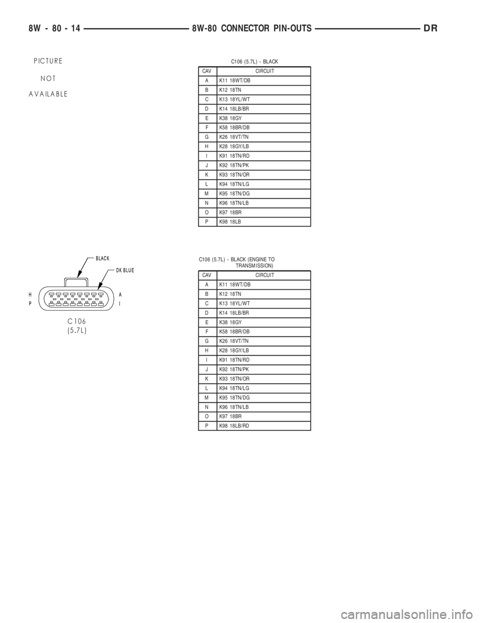 DODGE RAM 2003  Service Repair Manual C106 (5.7L) - BLACK
CAV CIRCUIT
A K11 18WT/DB
B K12 18TN
C K13 18YL/WT
D K14 18LB/BR
E K38 18GY
F K58 18BR/DB
G K26 18VT/TN
H K28 18GY/LB
I K91 18TN/RD
J K92 18TN/PK
K K93 18TN/OR
L K94 18TN/LG
M K95 