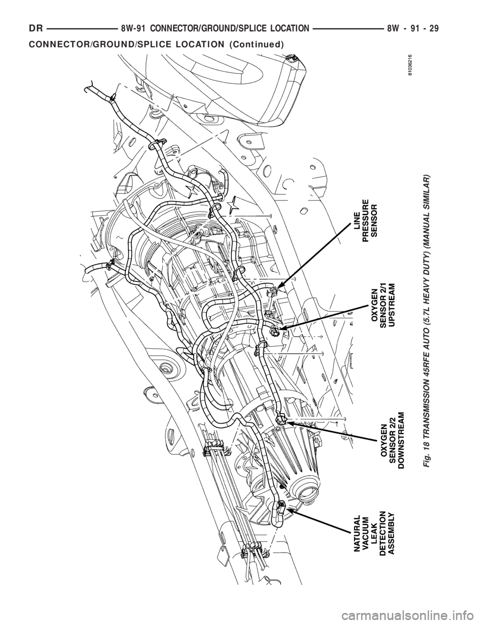 DODGE RAM 2003  Service Repair Manual Fig. 18 TRANSMISSION 45RFE AUTO (5.7L HEAVY DUTY) (MANUAL SIMILAR)
DR8W-91 CONNECTOR/GROUND/SPLICE LOCATION 8W - 91 - 29
CONNECTOR/GROUND/SPLICE LOCATION (Continued) 